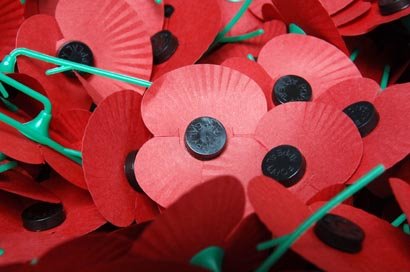poppies
